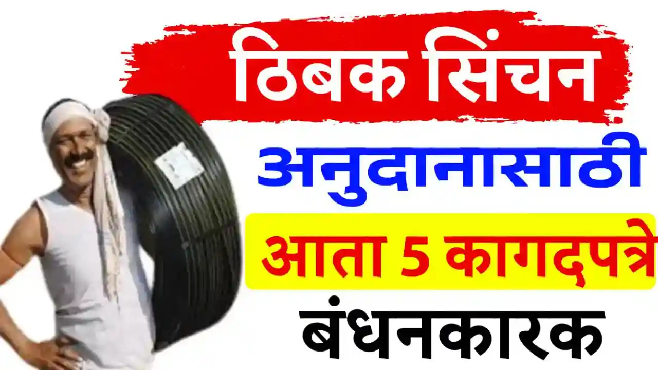 Drip Irrigation Subsidy